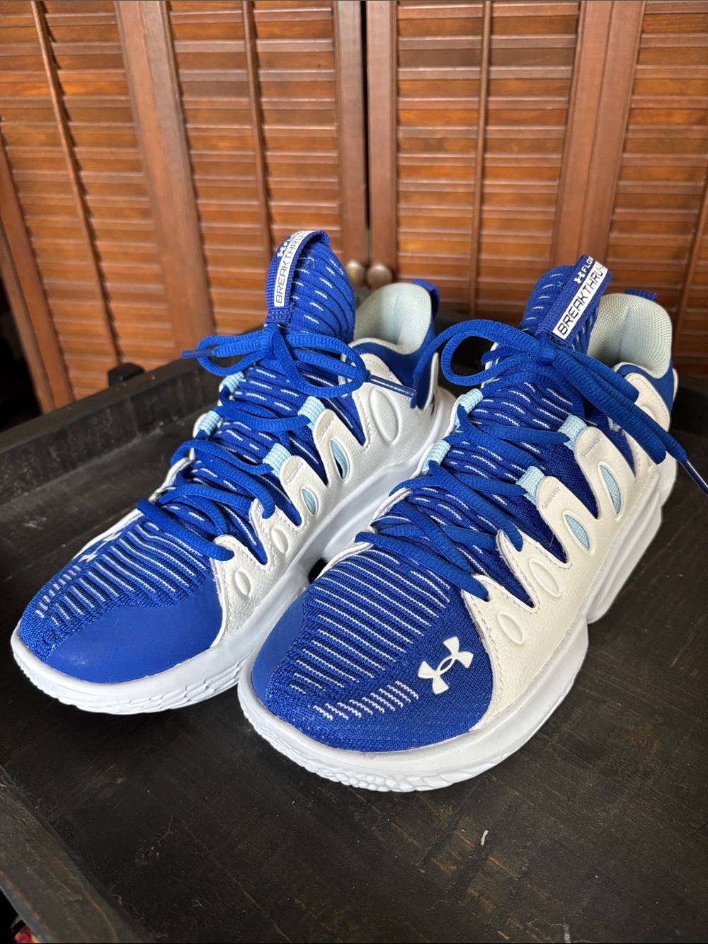 Under Armour Royal Blue and White Performance Court Sneakers